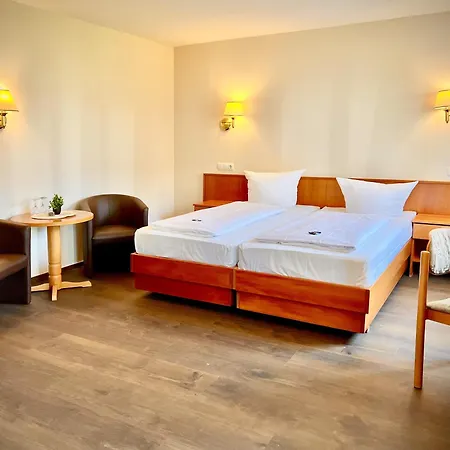 Kurhaus-hotel Bad Salzhausen Hotel Nidda